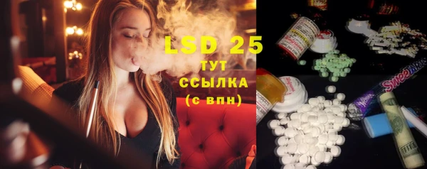 PSILOCYBIN Алзамай