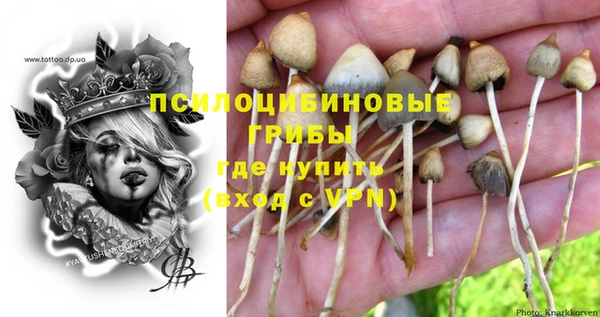 каннабис Алексеевка