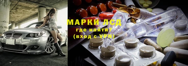 PSILOCYBIN Алзамай
