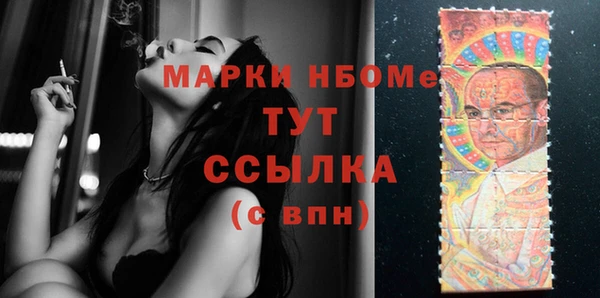 PSILOCYBIN Алзамай